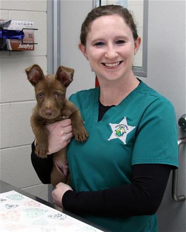vet tech and pup