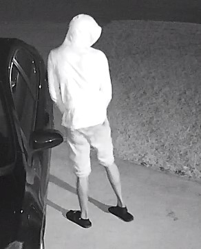Northside Village vehicle burglary suspect Northside Village vehicle burglary suspect